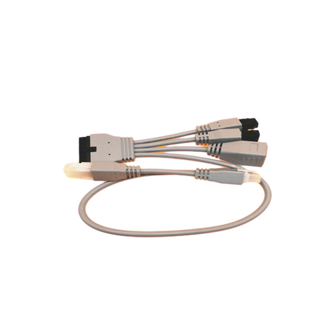 Molex43025-2400 3.0mm kundenspezifische Kabel zu Sockel RJ45 weiblichem Molex 4.2mm Pin 6